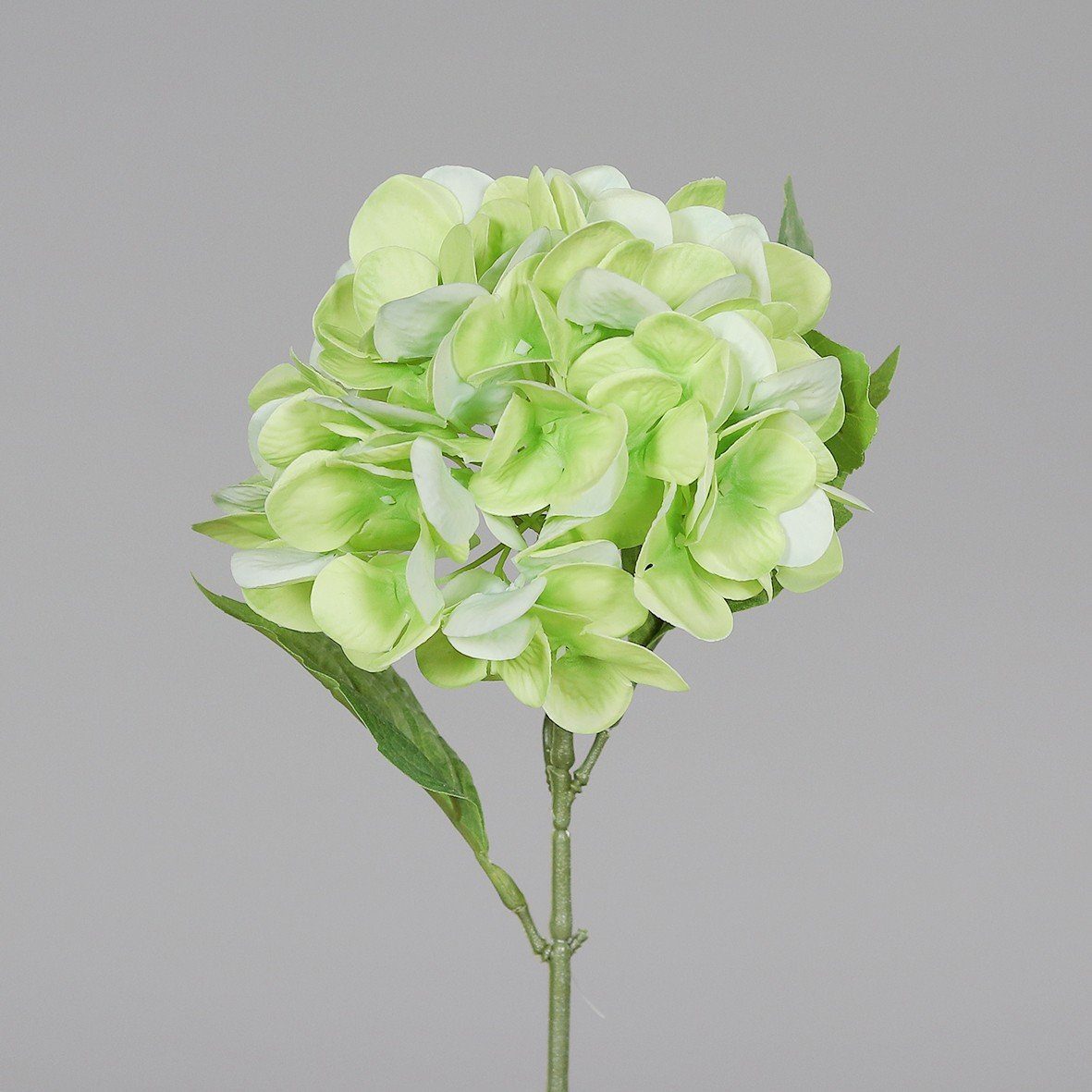 Kunstpflanze, DPI, Höhe 31 cm, Grün B:14cm H:31cm D:14cm Kunststoff