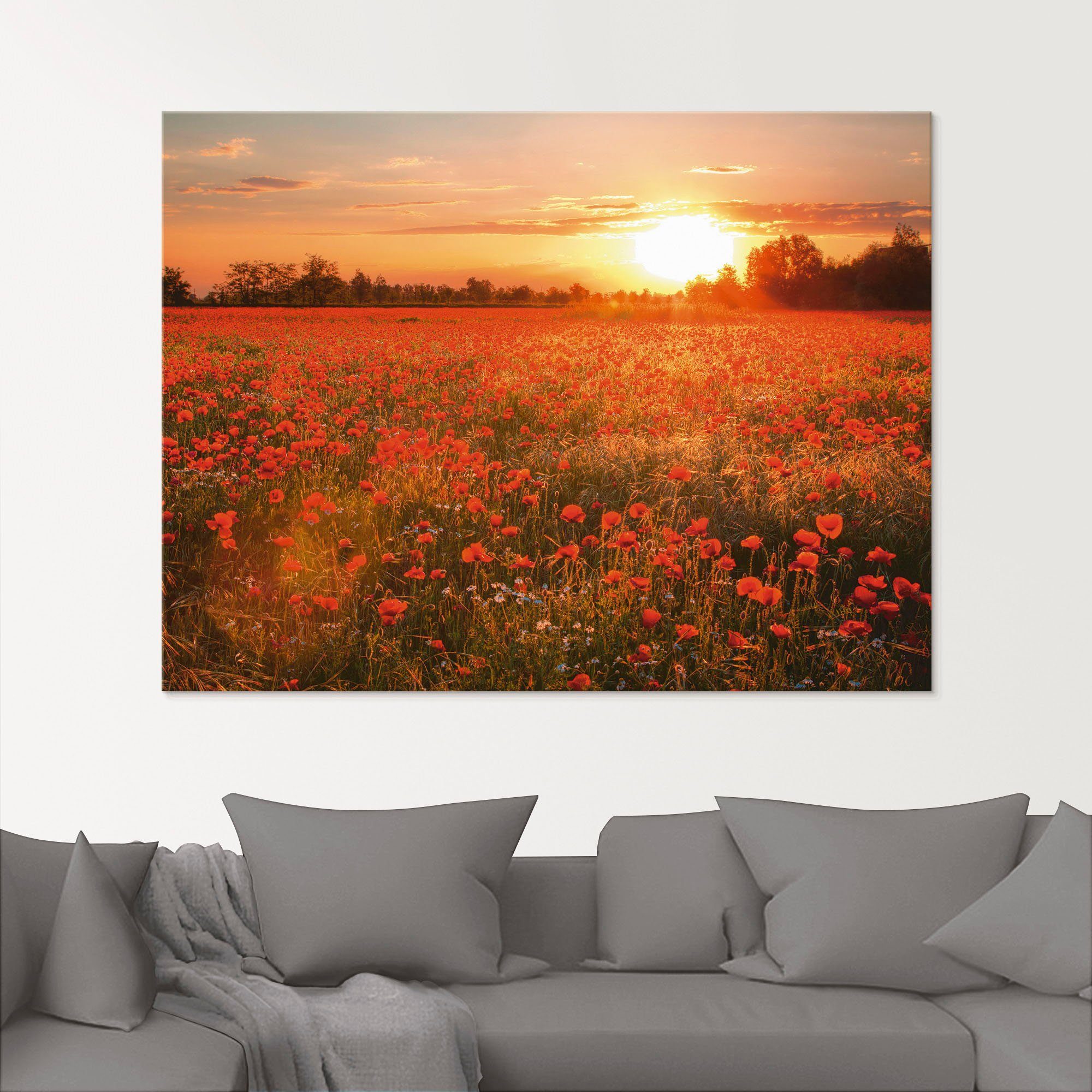 Artland Glasbild Mohnblumenfeld bei Sonnenuntergang, Blumen (1 St), in verschiedenen Größen