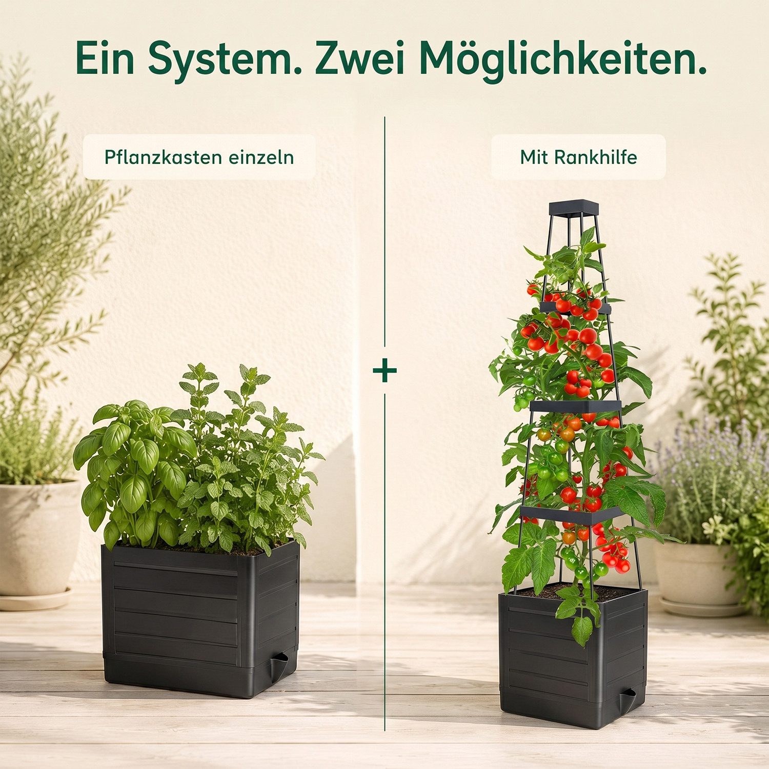AIMAX Pflanzkübel Tomatentopf mit Rankhilfe 140 cm Balkonkasten Blumenständer Blumentopf (Selbstbewässerung Pflanzturm Pflanztopf Pflanzenbehälter Blumenkasten, – Bild 4 von 5