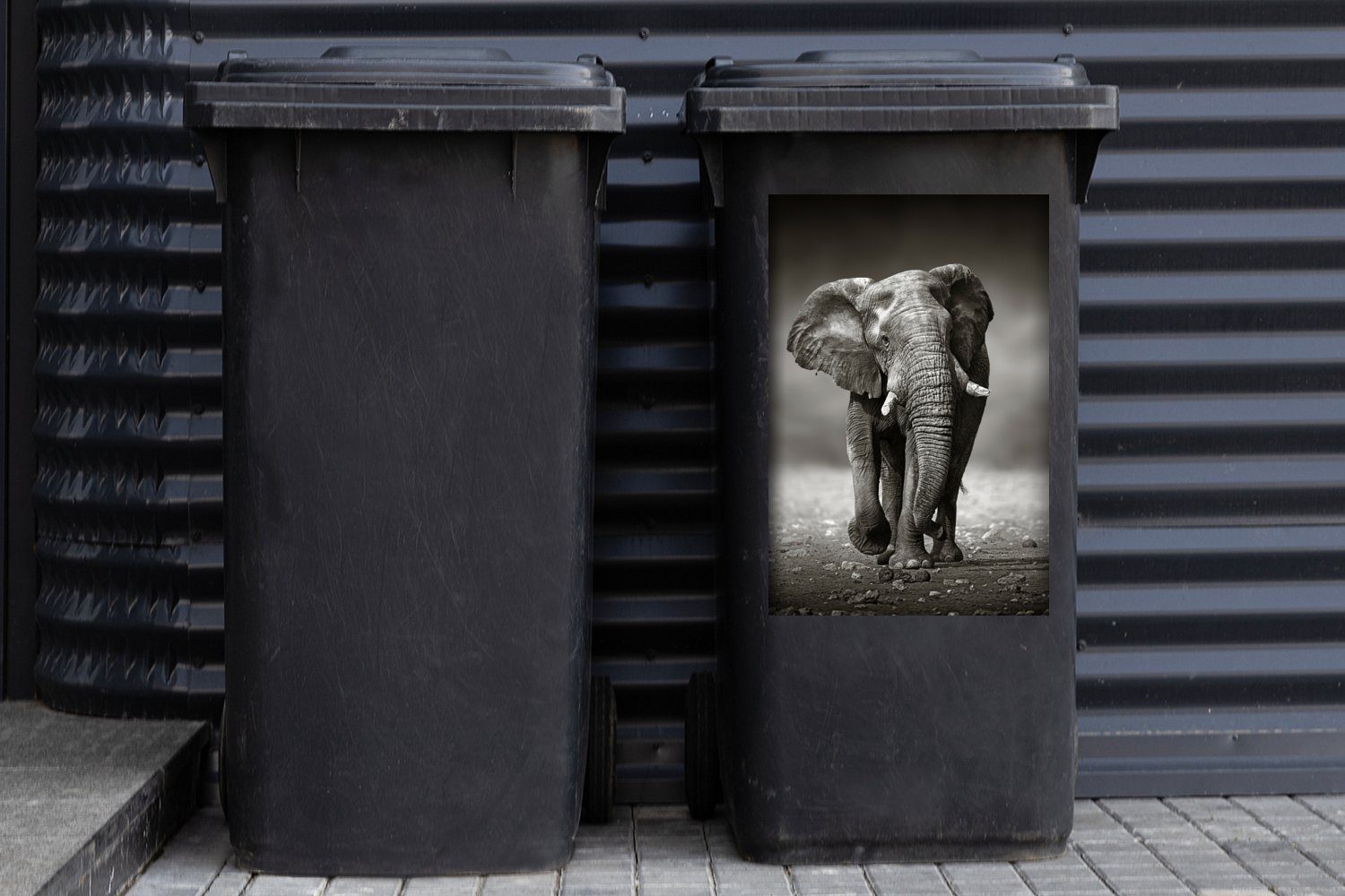 Sticker, Wandsticker Elefant Mülltonne, St), - Mülleimer-aufkleber, MuchoWow (1 Weiß - Abfalbehälter Schwarz - Namibia Container,