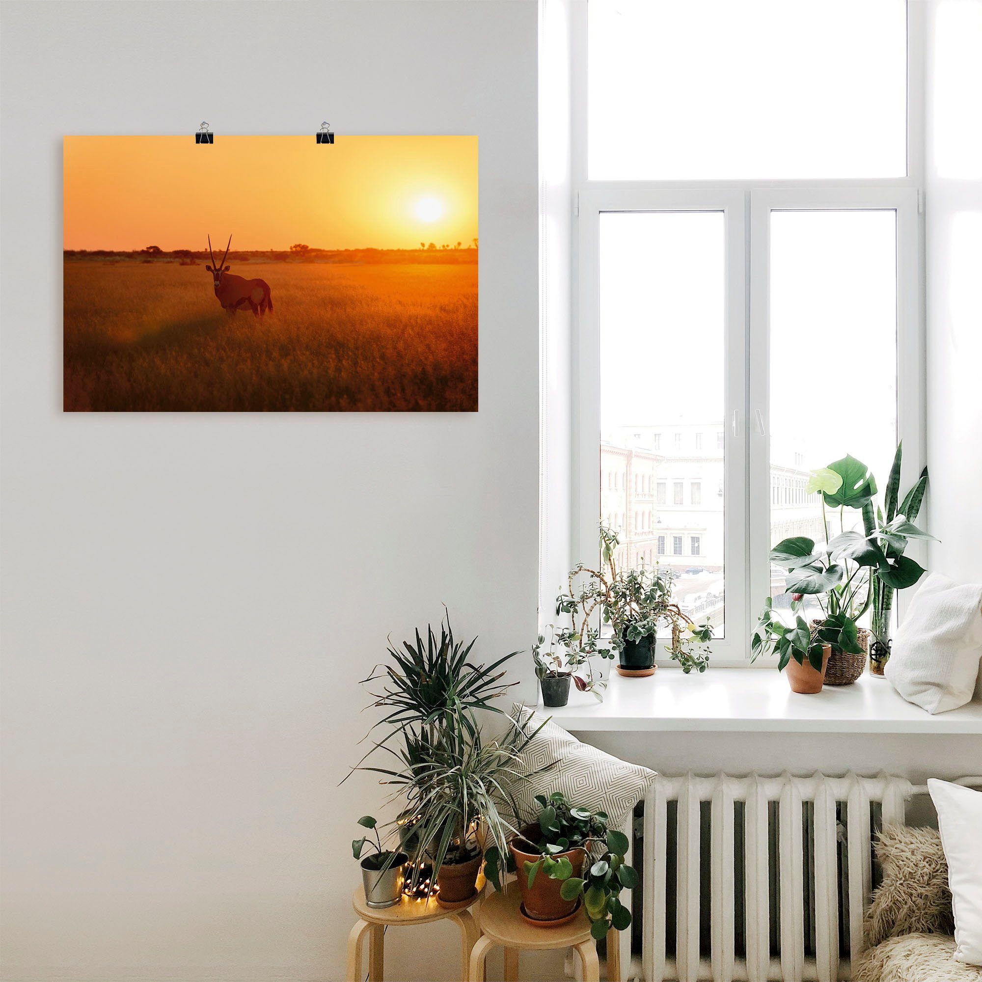 Wildtiere Sonnenaufgang, Wandaufkleber Leinwandbild, (1 versch. im in Artland als Poster Größen Wandbild St), Alubild, oder Oryxantilope