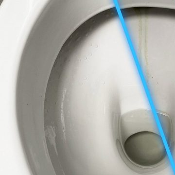 Das Blaue Wunder® WC Pulver mit Schaumbooster WC-Reiniger (1,5 kg Pulver selbstständiger Reiniger durch Aktivperlen gegen Urinstein & Kalk uvm)
