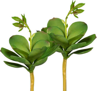 Kunstpflanze Echeveria mit Blüte Sukkulenten, Creativ green, Höhe 25 cm, 3er Set