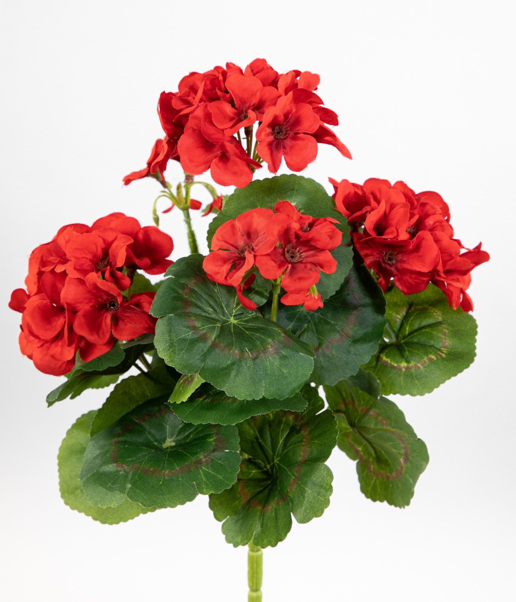 Kunstblume Geranie 32cm LM Kunstpflanzen künstliche Blumen Pflanzen Pelargonium, Seidenblumen Roß, Höhe 32 cm, Rot – Bild 2 von 5