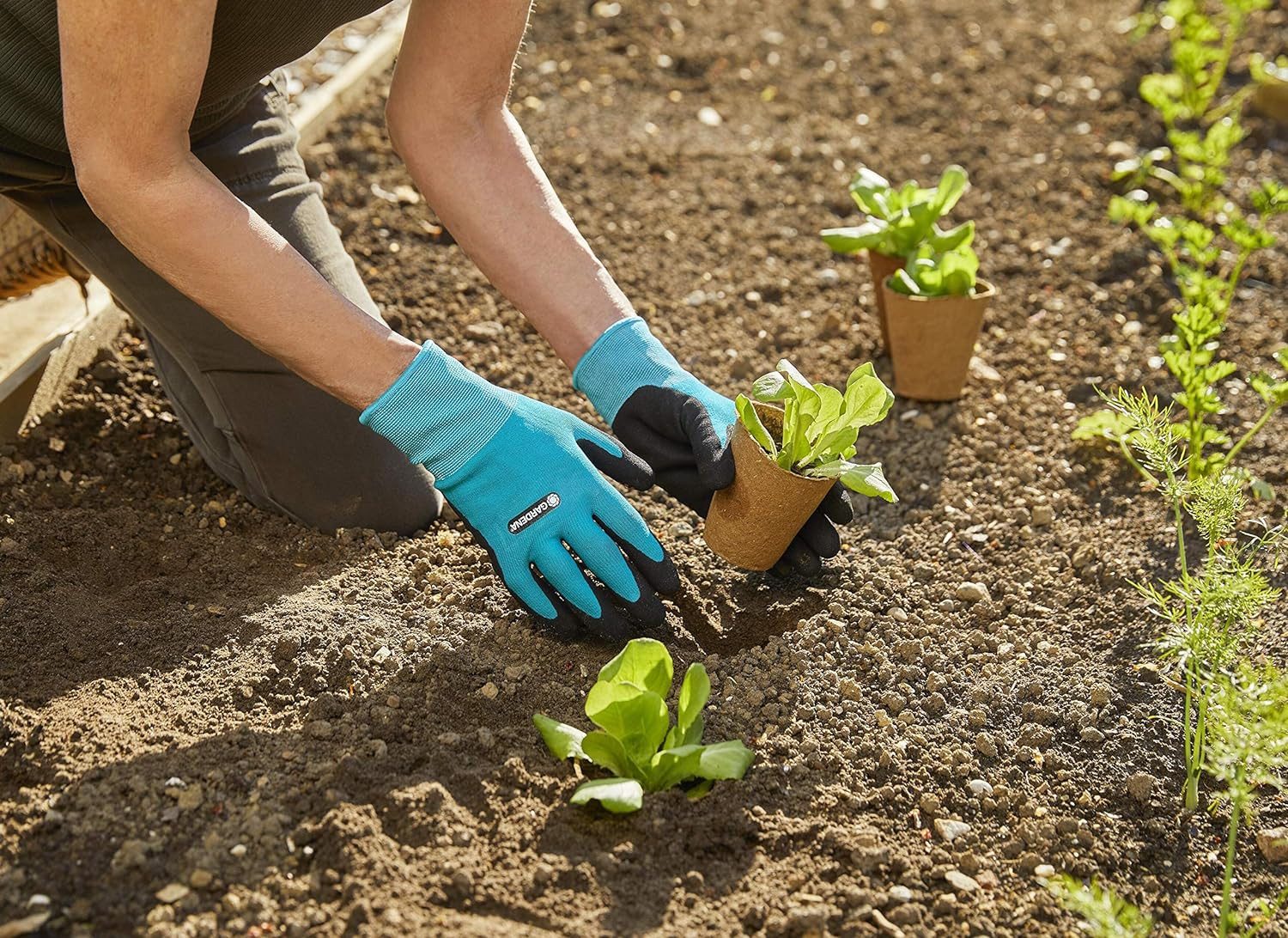 GARDENA Gartenhandschuhe GARDENA Pflanz- und Bodenhandschuh 9/L Mobile Touc günstig online kaufen