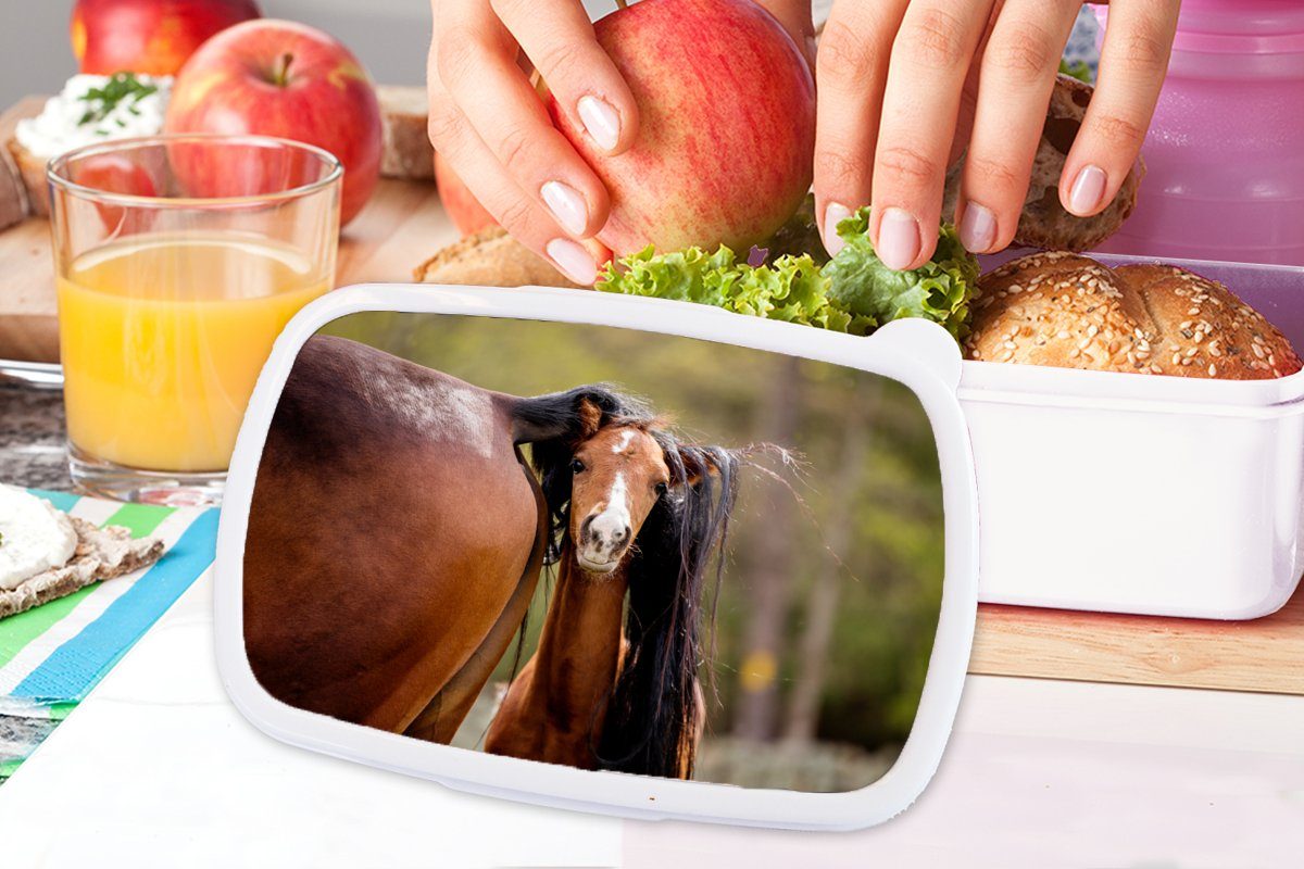 MuchoWow Lunchbox Pferde für Jungs - Kinder Mädchen (2-tlg), Natur und - Kunststoff, für Brotdose, weiß Brotbox und Braun, Erwachsene