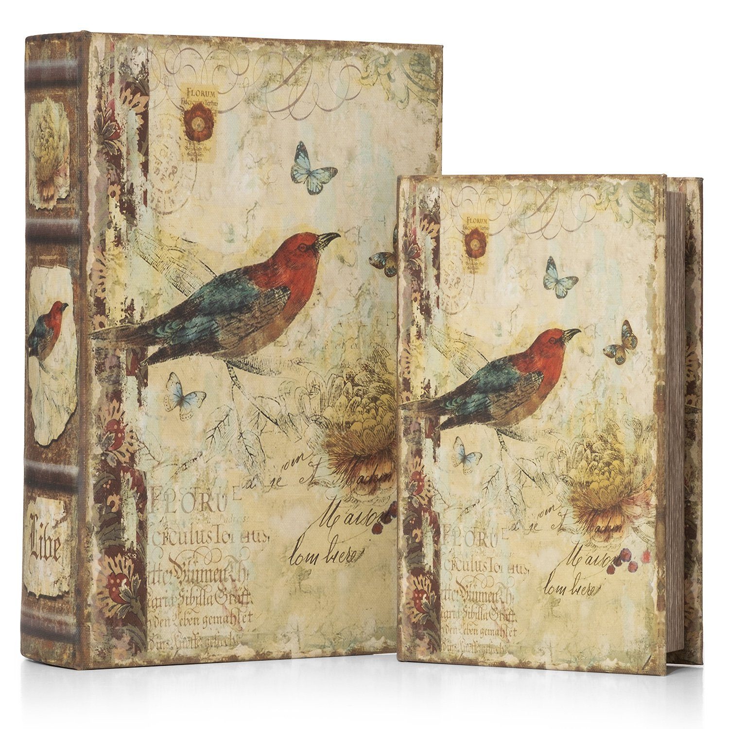 Box Moritz Buchhülle und Vogel irrelevant, Safe Geldversteck Schmetterlinge Buchattrappe Buch Buchtresor Etui Schatulle