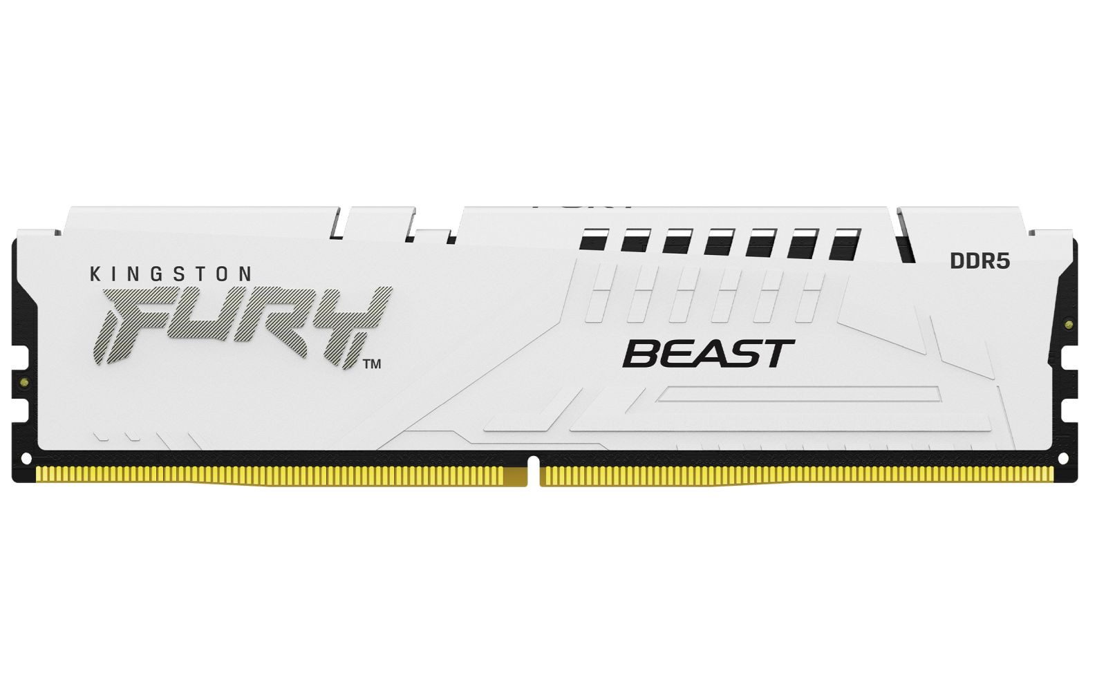 Kingston 16GB DDR5 6400MT/S CL32 DIMM FURY BEAST WHITE EXPO PC-Arbeitsspeicher