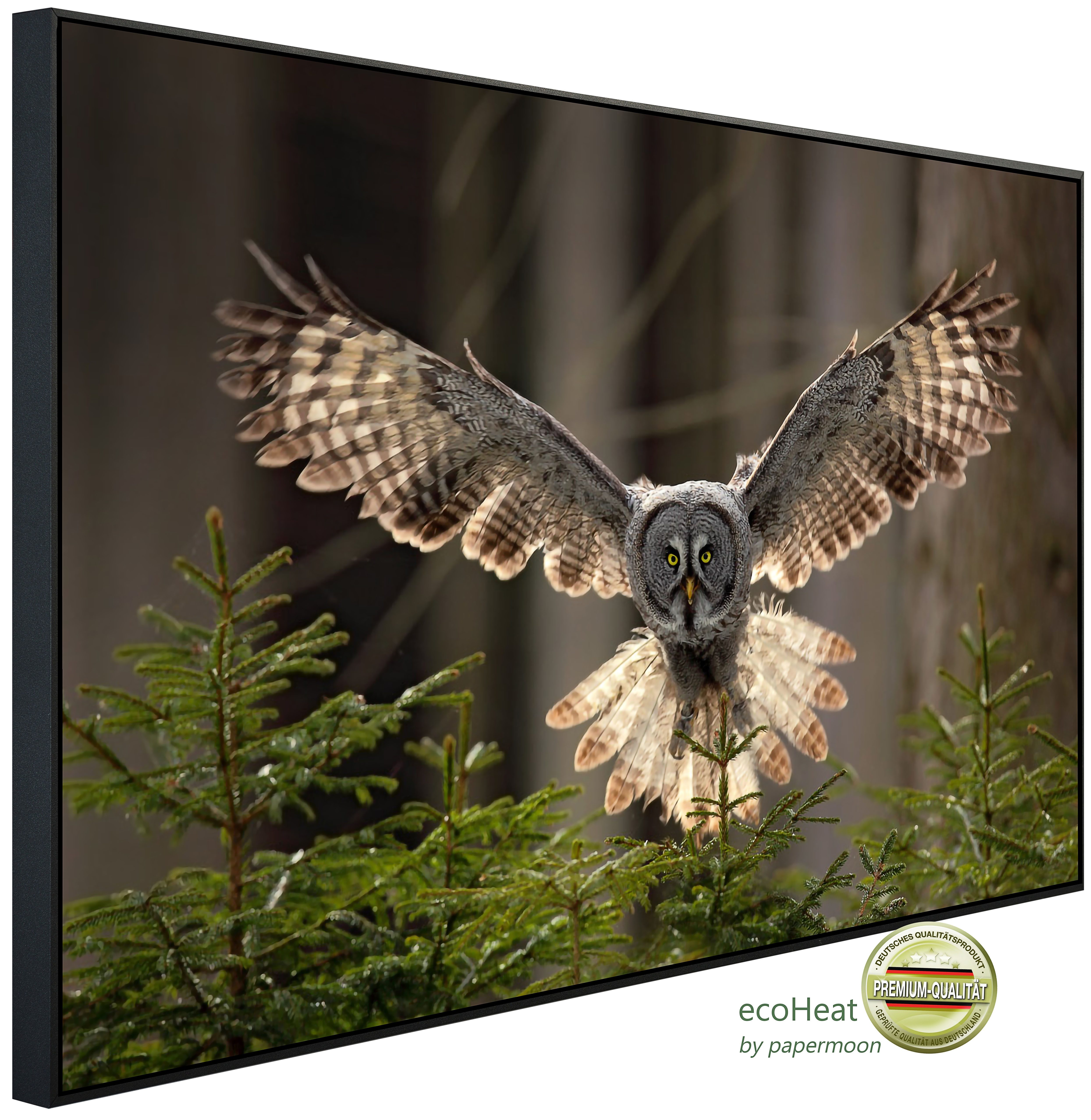 Papermoon Infrarotheizung INFRAROT-BILD-HEIZUNG, Eule, TÜV-Rheinland/GS zertifiziert, angenehme Strahlungswärme