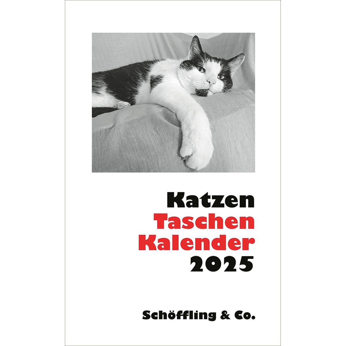 Wandkalender Katzen Taschenkalender 2025
