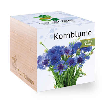 Feel Green Blumenerde Ecocube Kornblume, Nachhaltige Geschenkidee, (1-St)