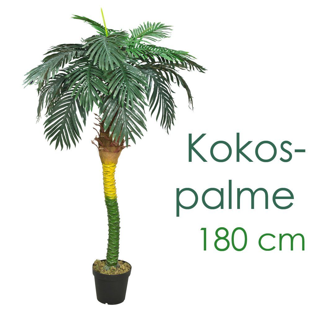 Kunstpalme Künstliche Kunstpalme Palme 180 künstlich Decovego, 180 Kunstpflanze Höhe cm, Königspalme cm