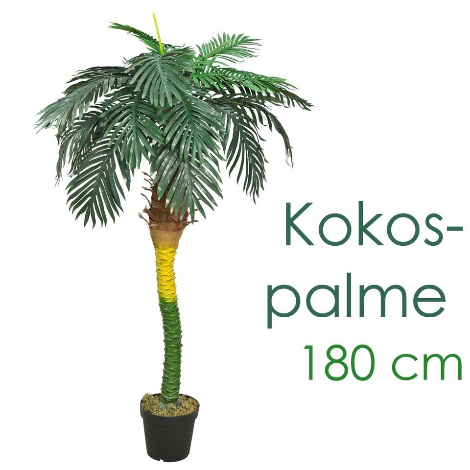 Kunstpalme Künstliche Kunstpalme Palme künstlich Königspalme Kunstpflanze  180 cm, Decovego, Höhe 180 cm
