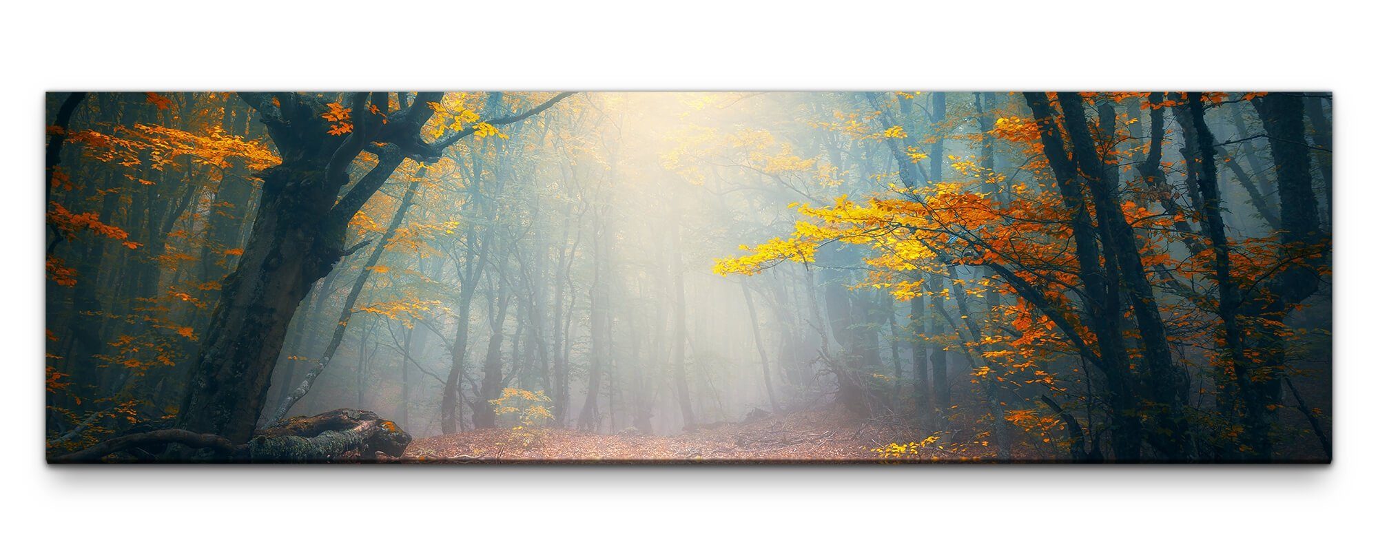 Leinwandbild Bilder XXL Herbstwaldlichtung Wandbild auf Leinwand