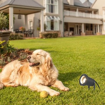 Licht-Erlebnisse Außen-Stehlampe PRESTON, ohne Leuchtmittel, Gartenstrahler Erdspieß Anthrazit GU10 IP44 Aluminium Wegeleuchte