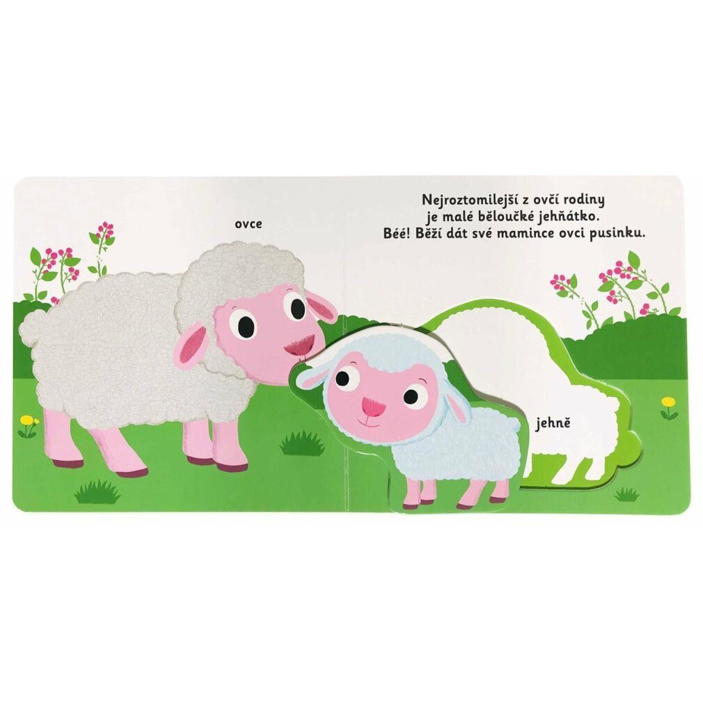 Svojtka & Co. Spiel MiniPEDIE Entdecke die Welt! Junge Leute vom Bauernhof