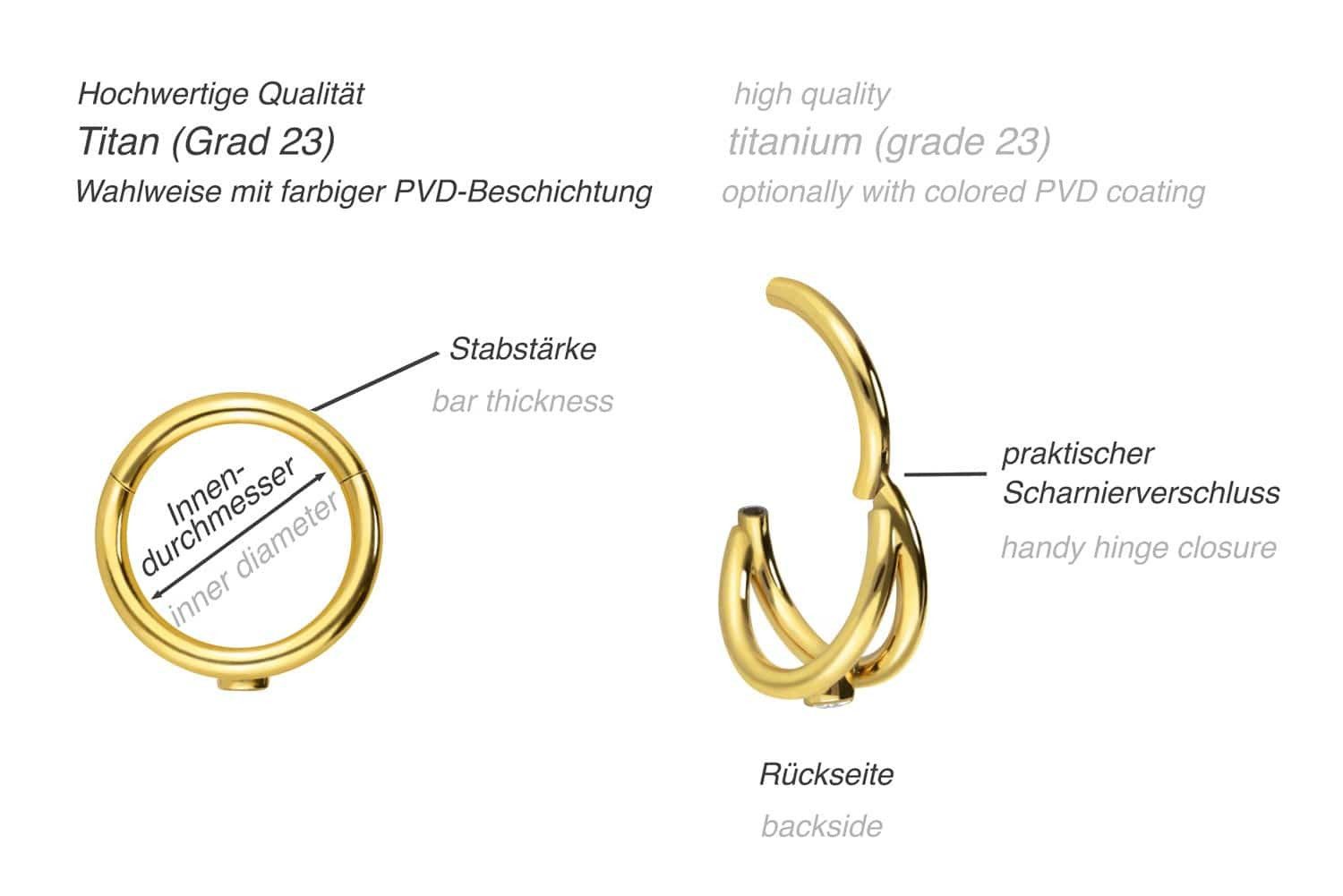 PIERCINGLINE Nasenpiercing Titan Segmentring Clicker 2 RINGE + KRISTALL Ohrpiercing Septum Nase (Clicker, 1-tlg), Ohrpiercing für Conch, Helix, Tragus, Daith, Lobe