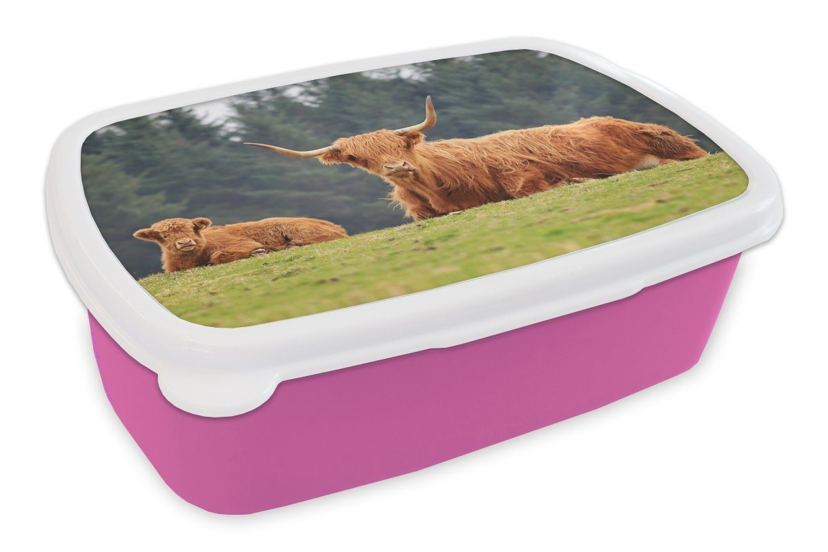 Schottische MuchoWow Kinder, Kunststoff, Kunststoff Highlander Snackbox, Mädchen, Kalb Brotdose - - Lunchbox für rosa Kuh, (2-tlg), Schottische Brotbox Erwachsene,