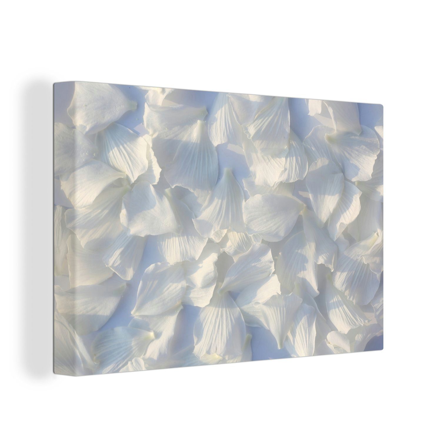 OneMillionCanvasses® 30x20 Romantische Wandbild cm Leinwandbilder, Aufhängefertig, Wanddeko, Tulpenblätter, (1 Leinwandbild St),