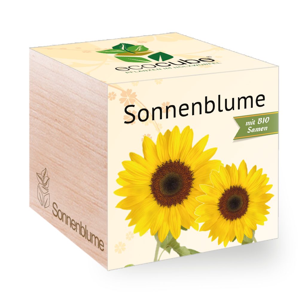 Feel Green Blumenerde Ecocube Sonnenblume von Feel Green, Nachhaltige Geschenkidee, (1-St)