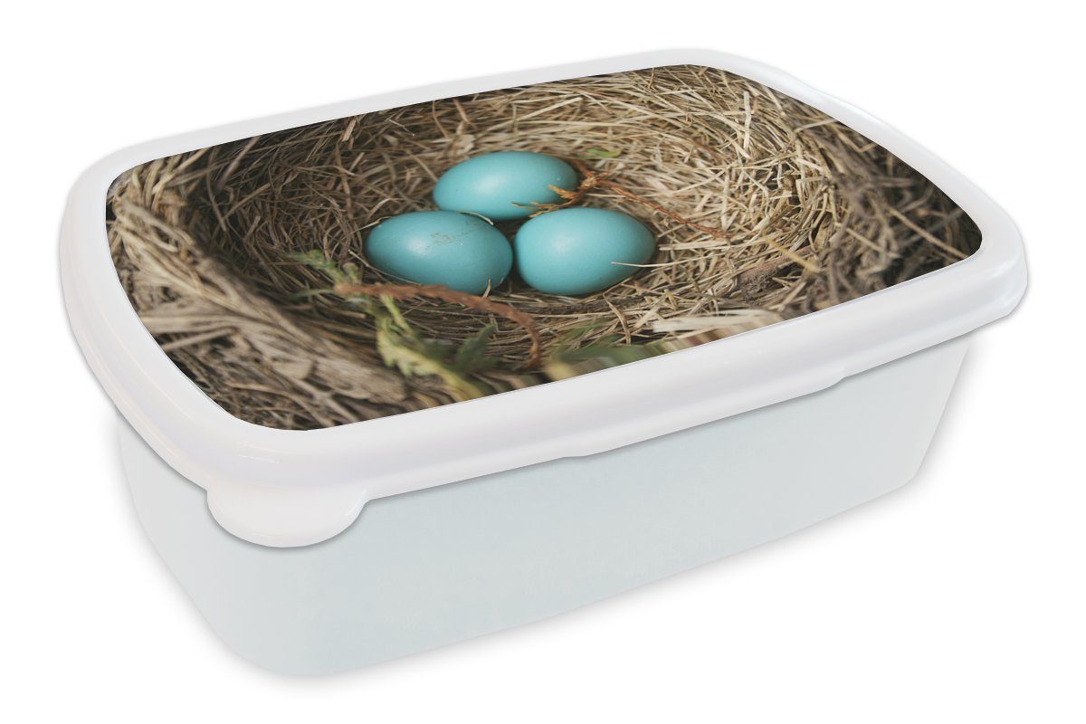 MuchoWow Lunchbox Eier - Blau - Rotkehlchen, Kunststoff, (2-tlg), Brotbox für Kinder und Erwachsene, Brotdose, für Jungs und Mädchen weiß