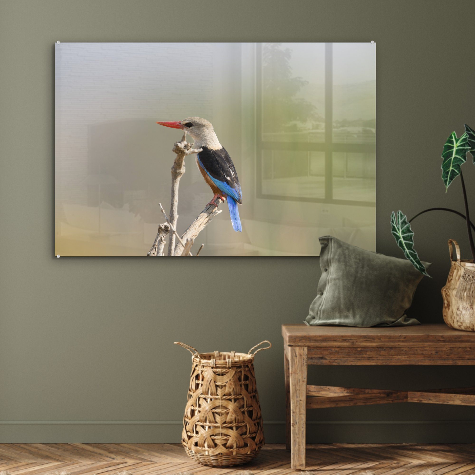 MuchoWow Acrylglasbild Graukopfliest klettert (1 Astes, Spitze Acrylglasbilder Wohnzimmer eines auf & St), Schlafzimmer die