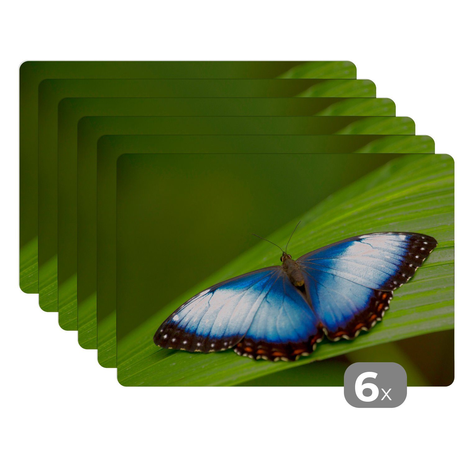Platzset, Morpho Schmetterling auf Blatt, MuchoWow, (6-St), Platzset, Platzdecken, Platzmatte, Tischmatten, Schmutzabweisend | Tischsets