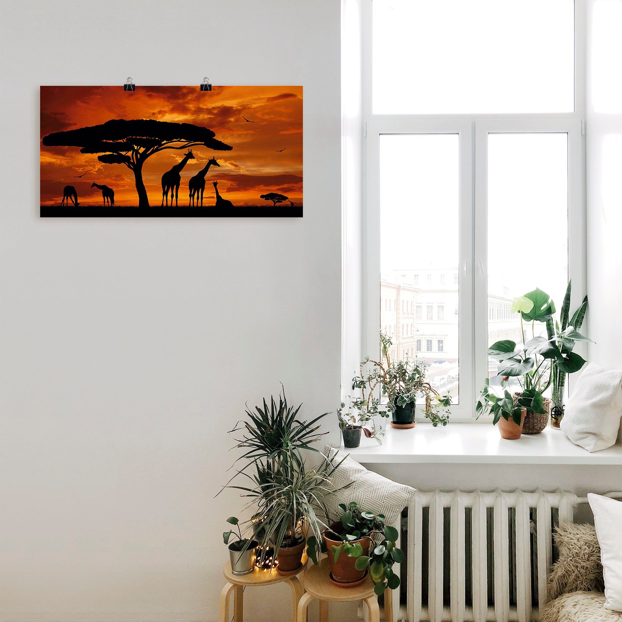 von im Sonnenuntergang, Größen oder Leinwandbild, Poster (1 Alubild, Wandbild als Herde Giraffen in Wildtiere St), versch. Wandaufkleber Artland