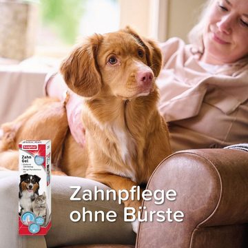 beaphar Tier-Zahncreme Dog-A-Dent Zahngel für Hunde & Katzen - 100 g