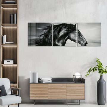 DEQORI Glasbild 'Galoppierendes Pferd', 'Galoppierendes Pferd', Glas Wandbild Bild schwebend modern