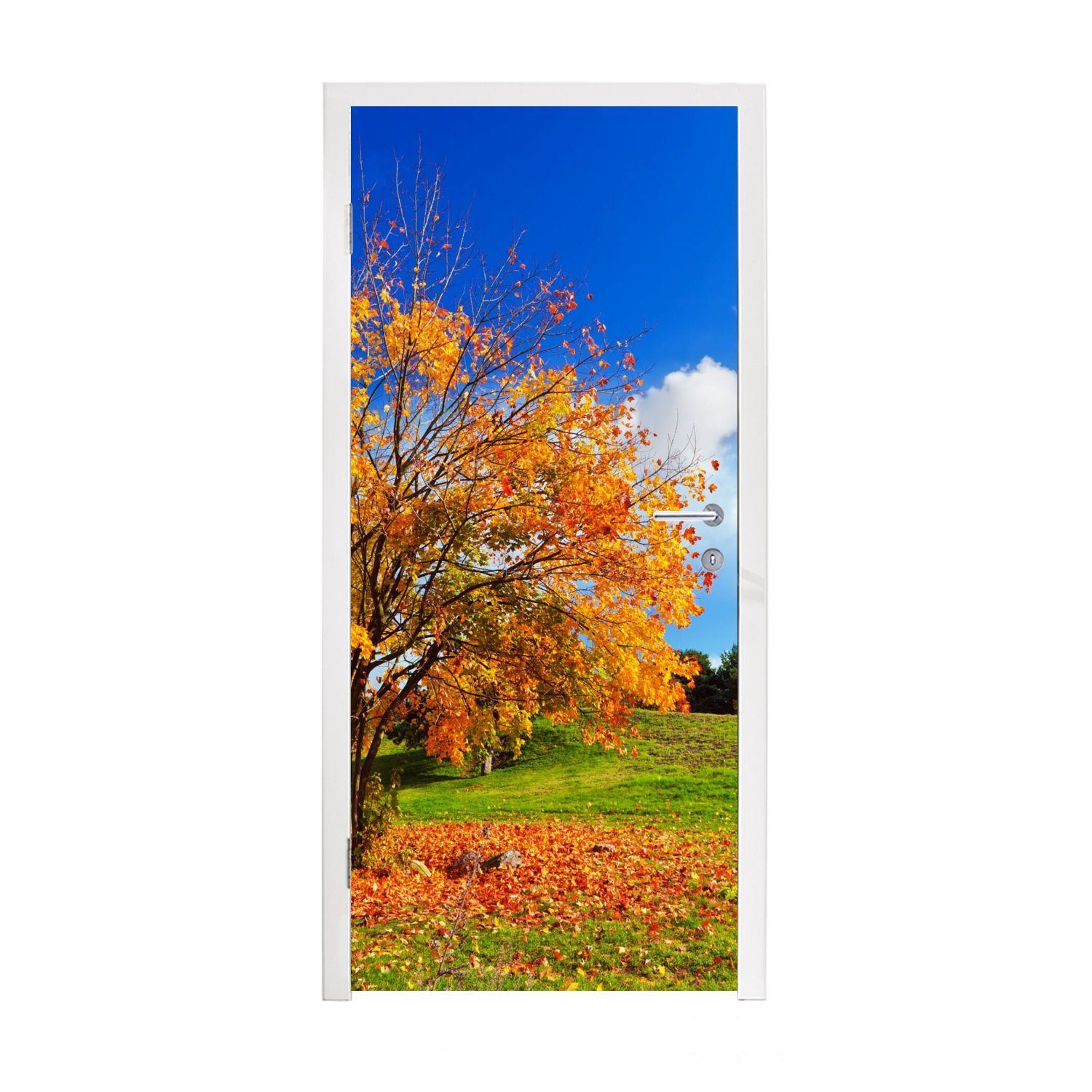 MuchoWow Türtapete Baum - Blätter - Herbst - Jahreszeiten, Matt, bedruckt, (1 St), Fototapete für Tür, Türaufkleber, 75x205 cm