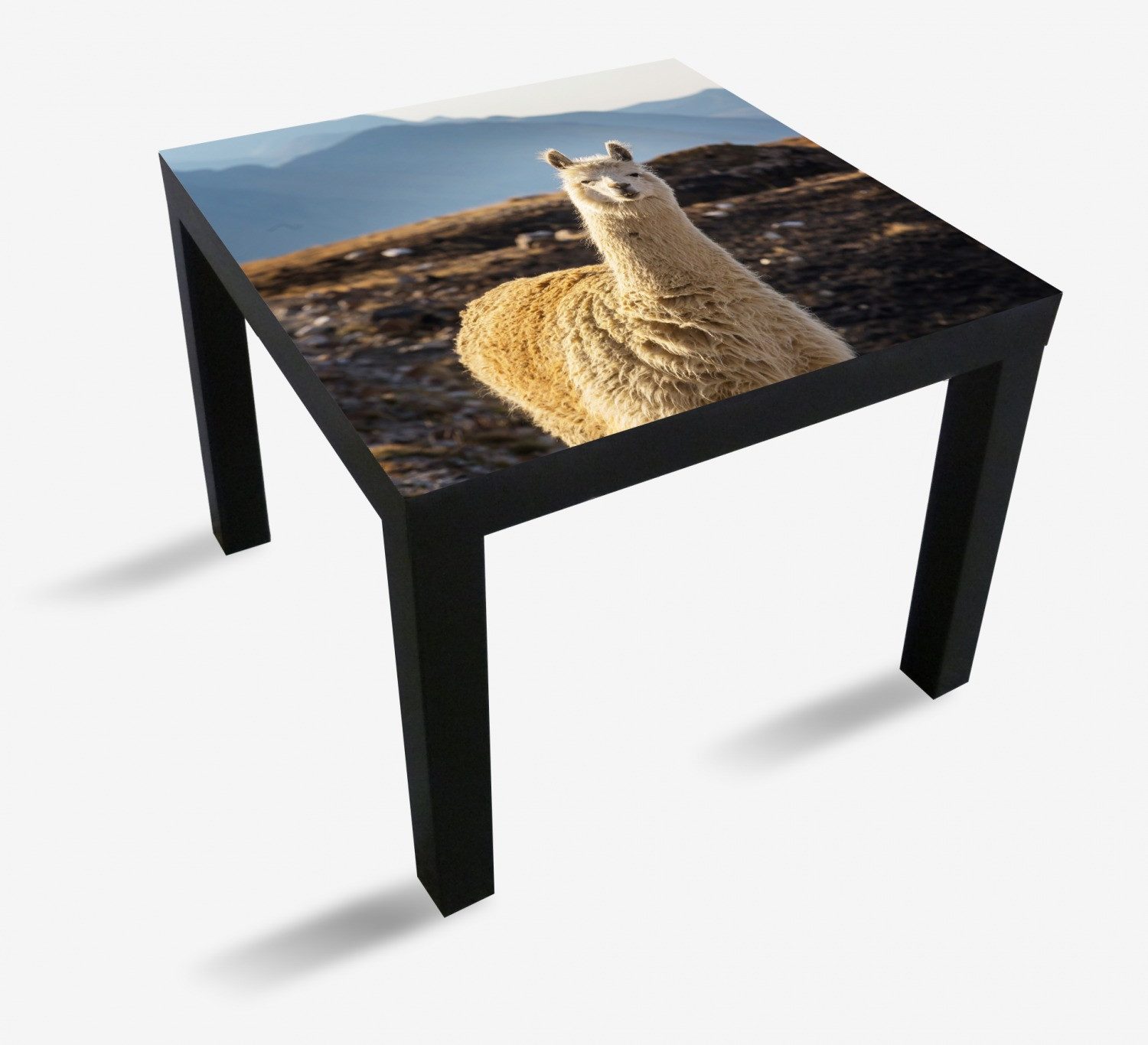 Wallario Möbelfolie Alpaka vor Bergkulisse