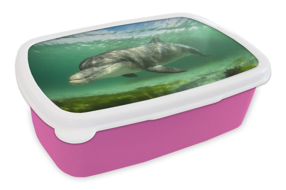 MuchoWow Lunchbox Delfin - Tiere - Wasser, Kunststoff, (2-tlg), Brotbox für Erwachsene, Brotdose Kinder, Snackbox, Mädchen, Kunststoff rosa