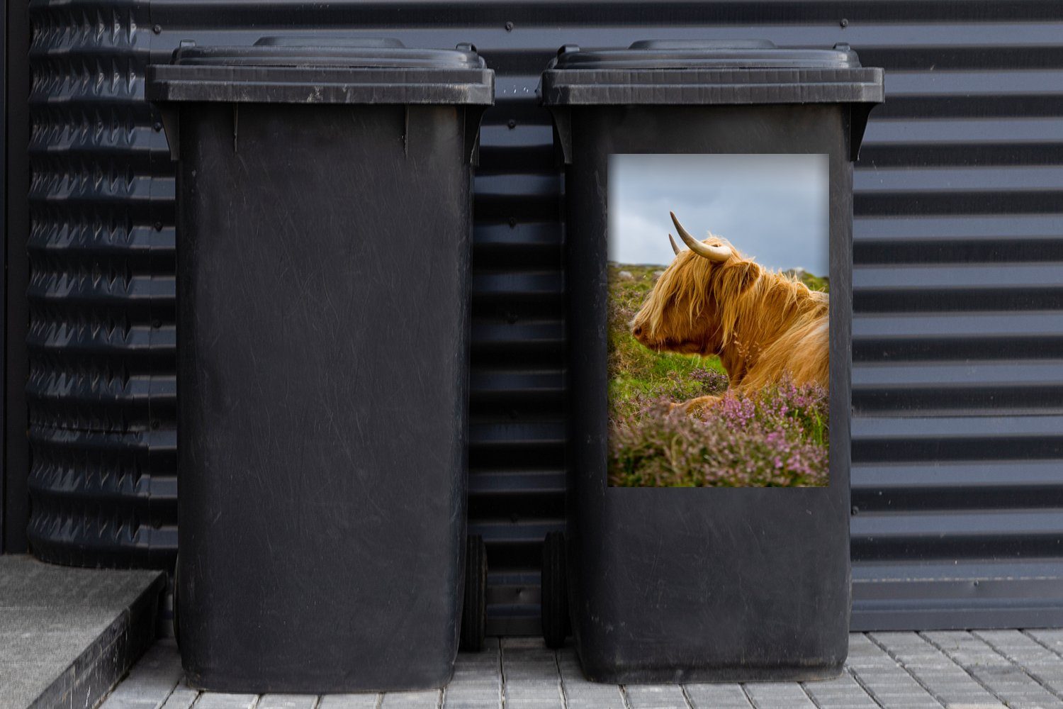 MuchoWow Wandsticker Scottish Highlander Abfalbehälter (1 - Container, Gras Mülltonne, - Mülleimer-aufkleber, Sticker, Blumen St)