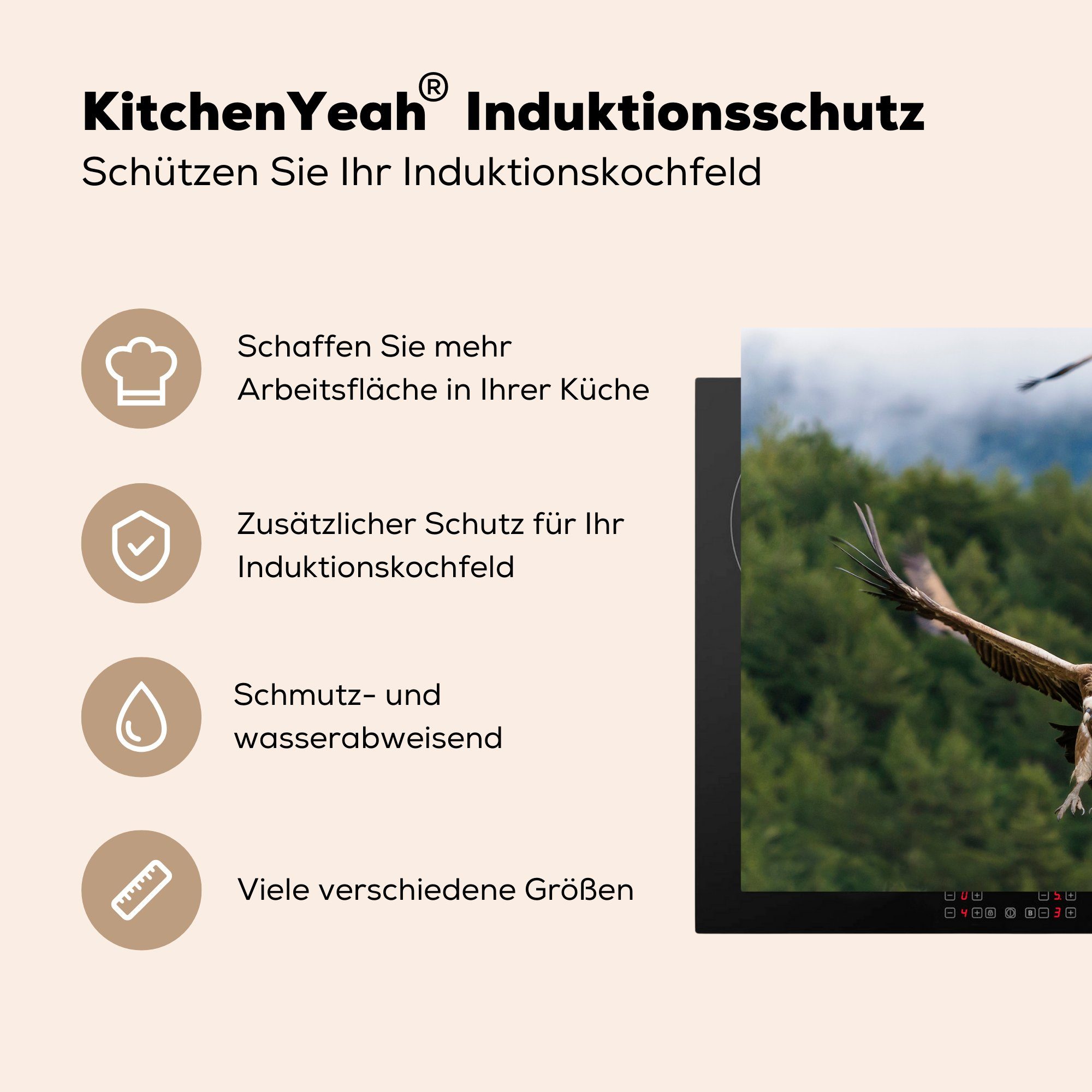 Wald, Schutz fliegen tlg), den Zwei küche, (1 Induktionskochfeld über Ceranfeldabdeckung Vinyl, für MuchoWow Herdblende-/Abdeckplatte Gänsegeier 71x52 die cm,