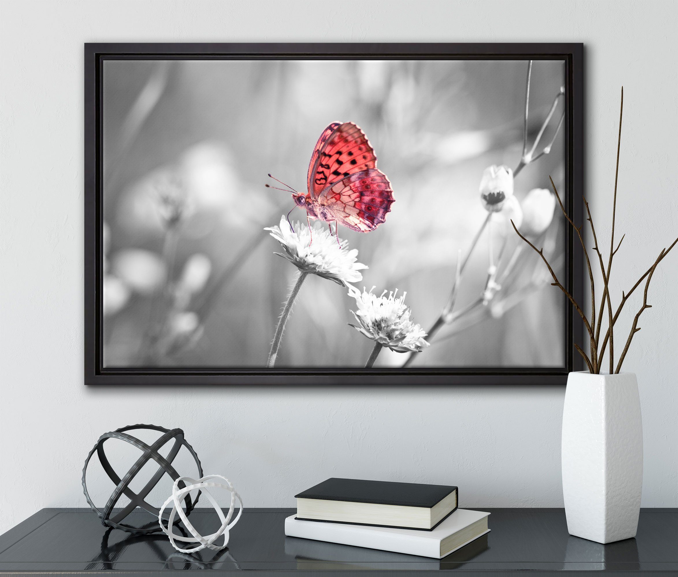Leinwandbild Schmetterling gefasst, Zackenaufhänger auf Wanddekoration fertig Schattenfugen-Bilderrahmen St), inkl. in Blüte, Pixxprint einem bespannt, Leinwandbild (1