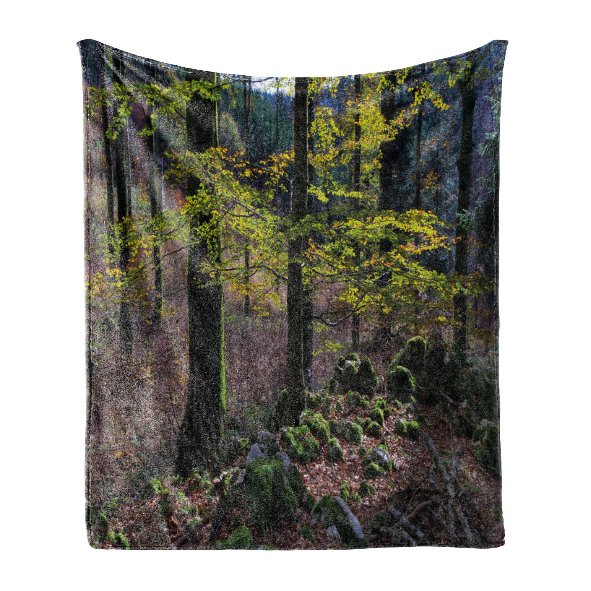 Wohndecke Gemütlicher Plüsch für den Innen- und Außenbereich, Abakuhaus, Wald Bäume Herbst-Wildnis