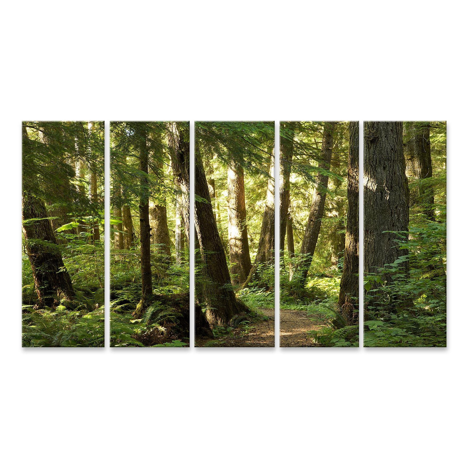islandburner Leinwandbild Bäume Wald Bilder