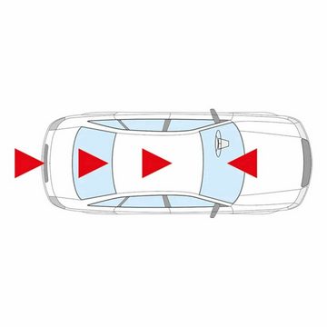 ProPlus Anhänger-Rückleuchte Autolampe - 12 V / 10 W / SV8,5, Bremslicht Schlusslicht Kfz-Ersatzlampe