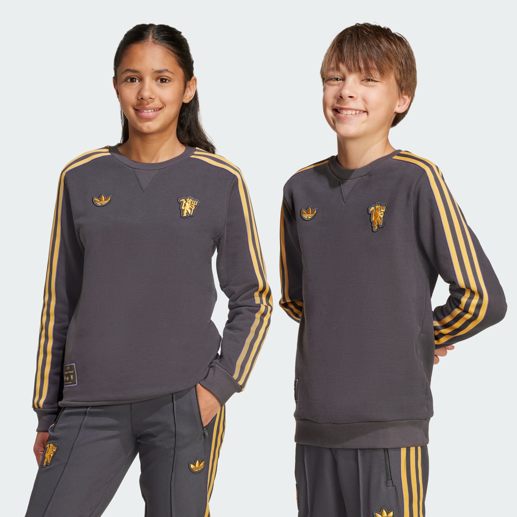 adidas Originals Sweatshirt MANCHESTER UNITED TERRACE ICONS SWEATSHIRT (1-tlg)