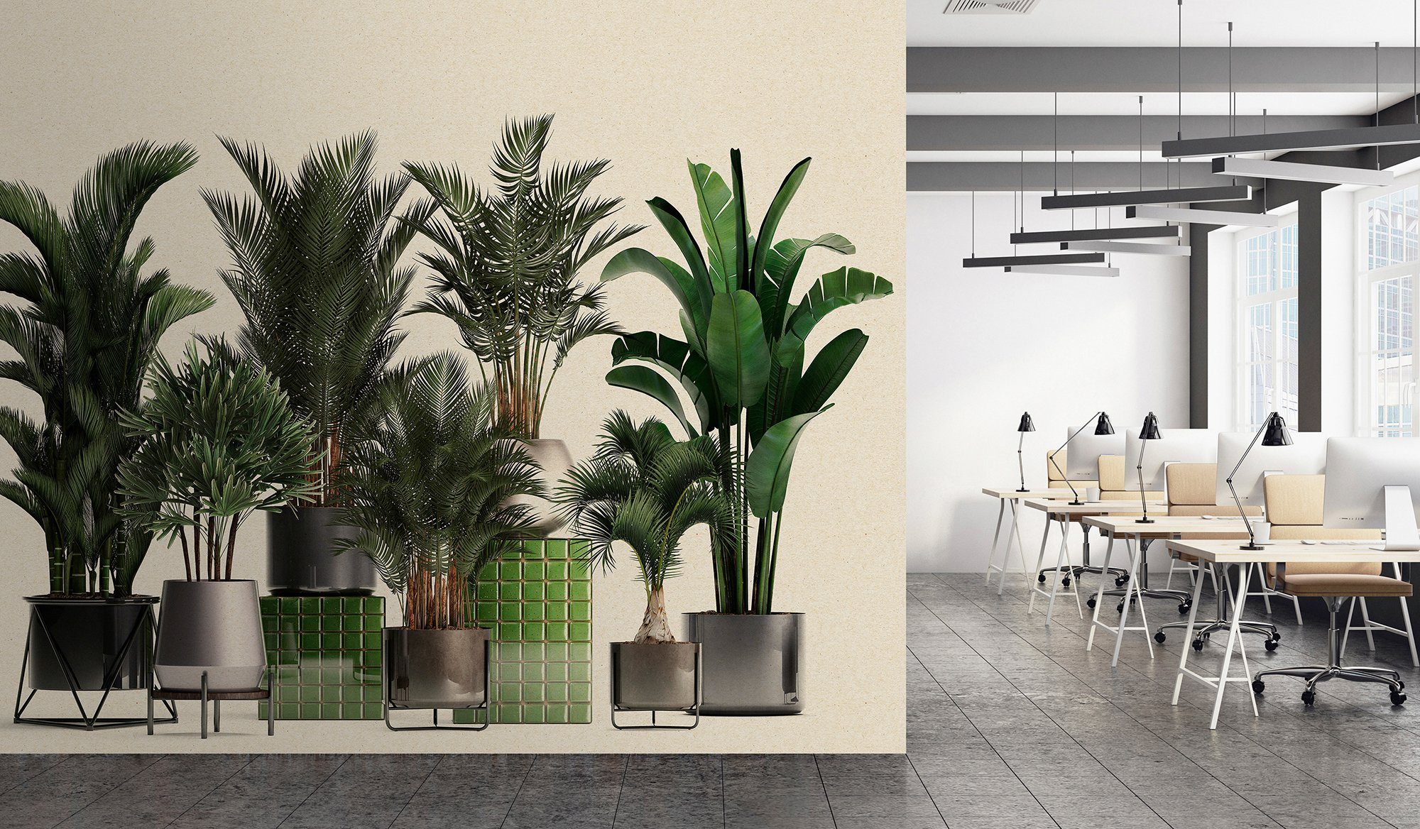 Shop, Wand living Plant grün walls Fototapete Vlies, Walls glatt, Patel by