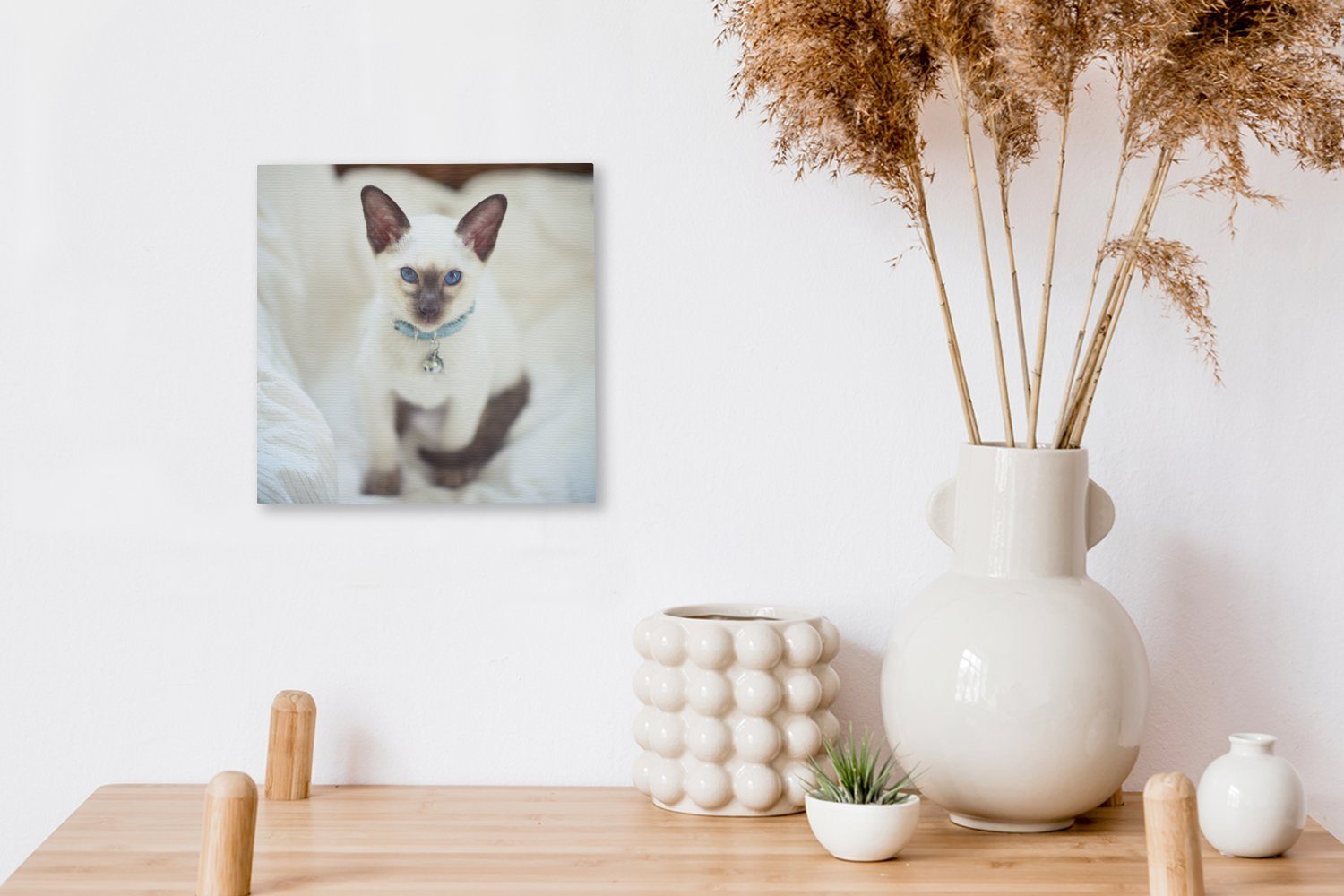 OneMillionCanvasses® Leinwandbild Eine gefärbte Bilder Wohnzimmer St), Katze, für (1 Leinwand weiß Siamesische Schlafzimmer