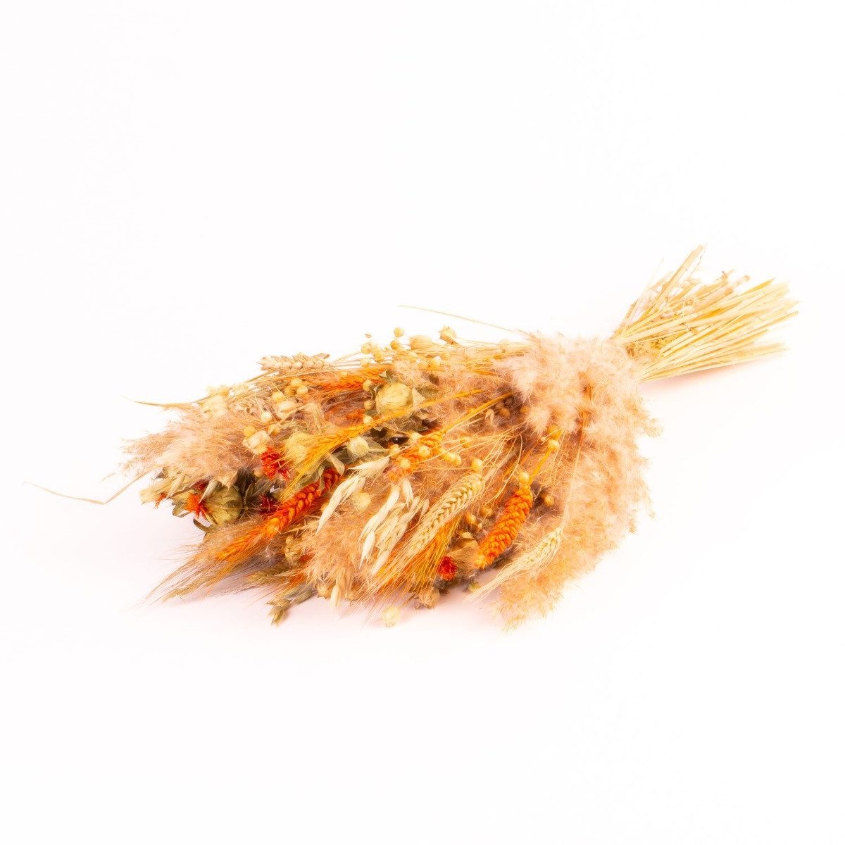 Trockenblume Blumenstrauß getrocknet CARMENTA, orange-Natur, 50cm, Ø20cm, INNA-Glas, Höhe 50.0 cm