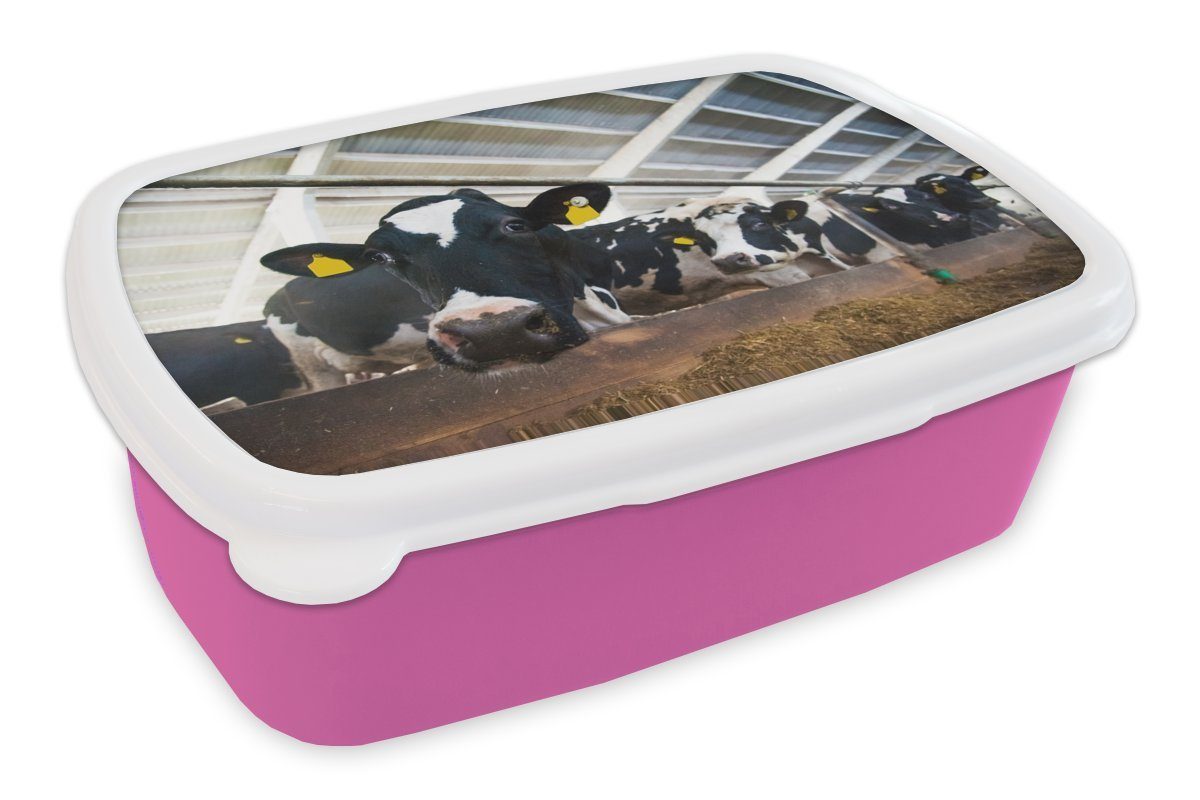 Snackbox, - Bauernhof Kuh Stall, Erwachsene, MuchoWow - Kinder, Mädchen, rosa Kunststoff Brotdose Kunststoff, Brotbox für Lunchbox (2-tlg),