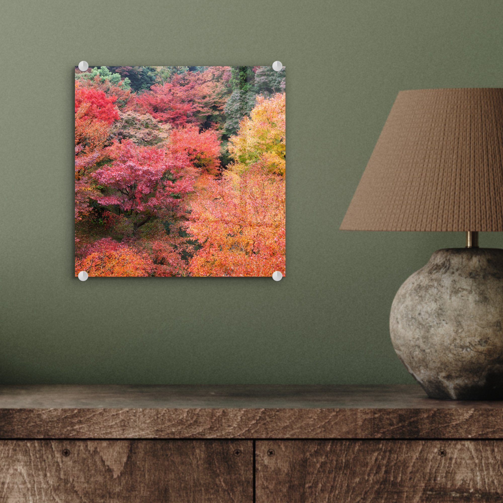 - (1 Wandbild Glas - Wanddekoration Glas Kyoto, Foto Wald St), auf auf mit japanischen - Bilder Ahornbäumen Acrylglasbild in MuchoWow Glasbilder