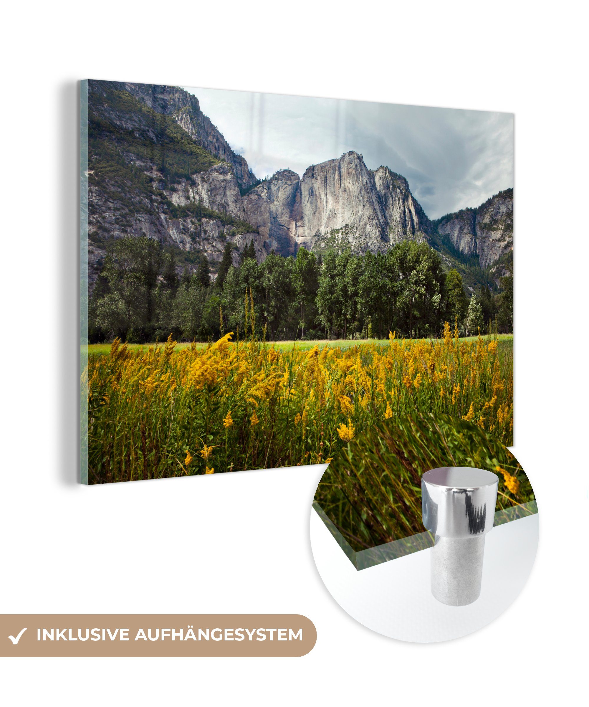MuchoWow Acrylglasbild Eine blühende Wiese im Yosemite-Nationalpark, (1 St), Acrylglasbilder Wohnzimmer & Schlafzimmer