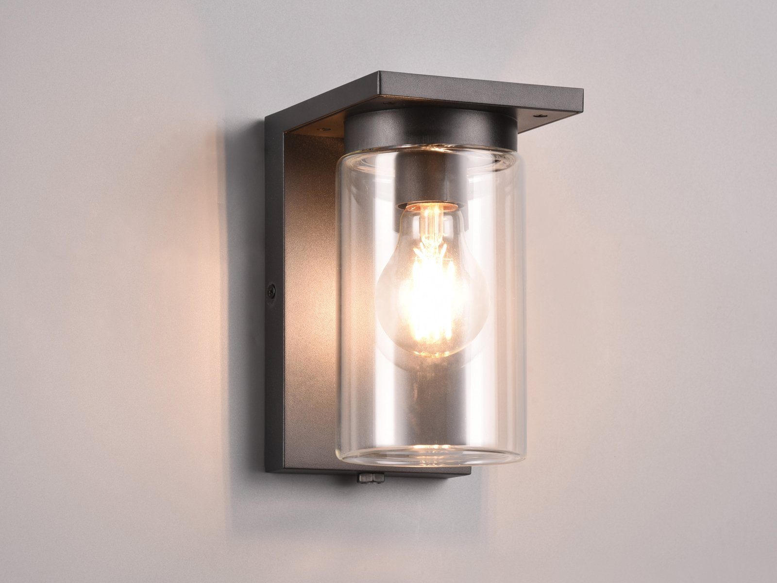 TRIO Leuchten LED Außen-Wandleuchte, Tageslichtsensor, LED wechselbar, Warmweiß, Wand-laterne Landhaus-stil, Fassaden-beleuchtung Haus-wand, Höhe 19cm