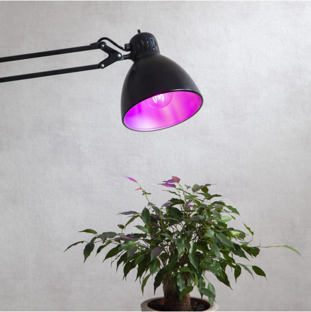 STAR TRADING LED-Leuchtmittel E27, 6,5W, 1300K, 200lm, warmweiß, ø60mm, E27, warmweiß