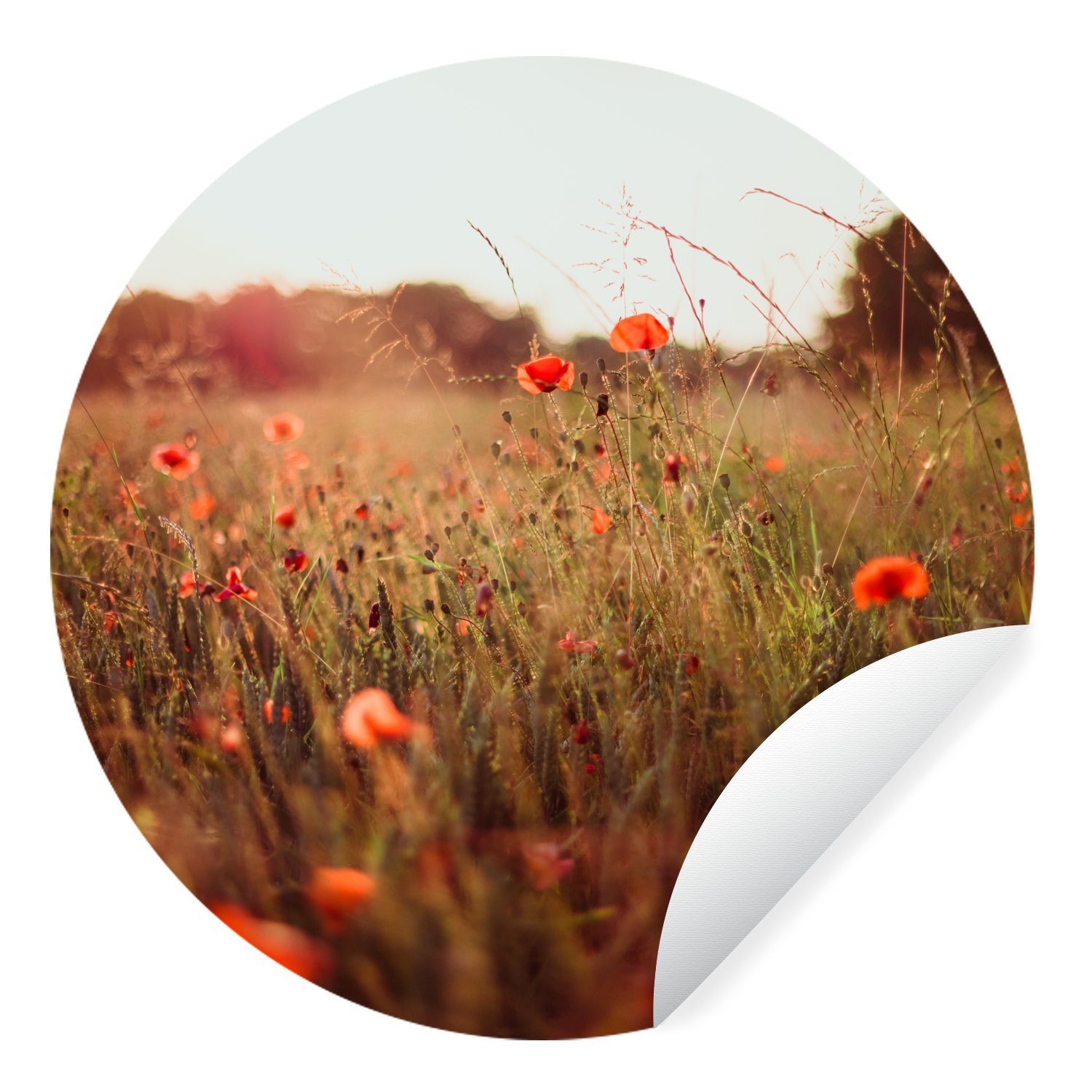 MuchoWow Wandsticker Sonnenuntergang - Blumen - Rot (1 St), Tapetenkreis für Kinderzimmer, Tapetenaufkleber, Rund, Wohnzimmer | Wandtattoos
