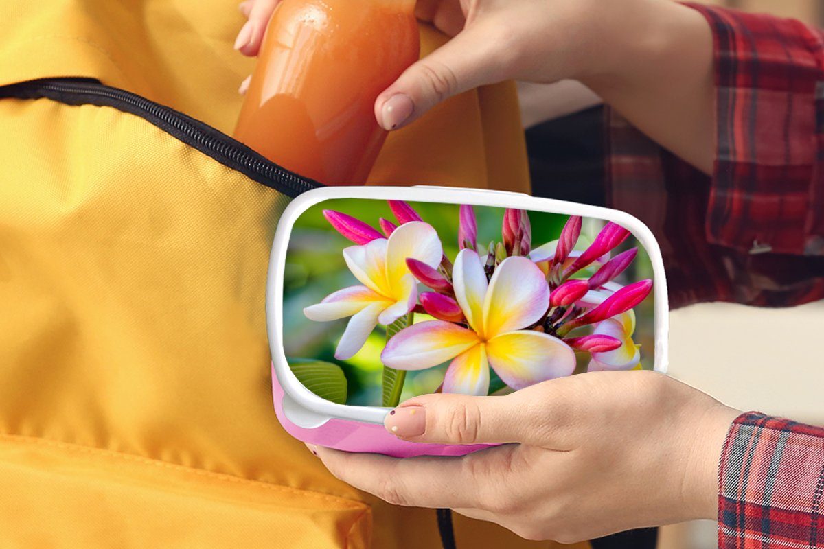 Farben, für Brotdose Kunststoff, Mädchen, - Kinder, Snackbox, Kunststoff MuchoWow Lunchbox Plumeria Blumen - (2-tlg), rosa Brotbox Erwachsene,